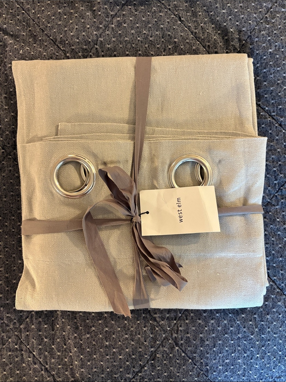 West Elm Champagne Grommet Drapery Panel with Silver Rings